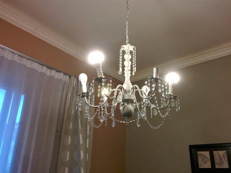B&B Villa Regina Pisa Ngoại thất bức ảnh